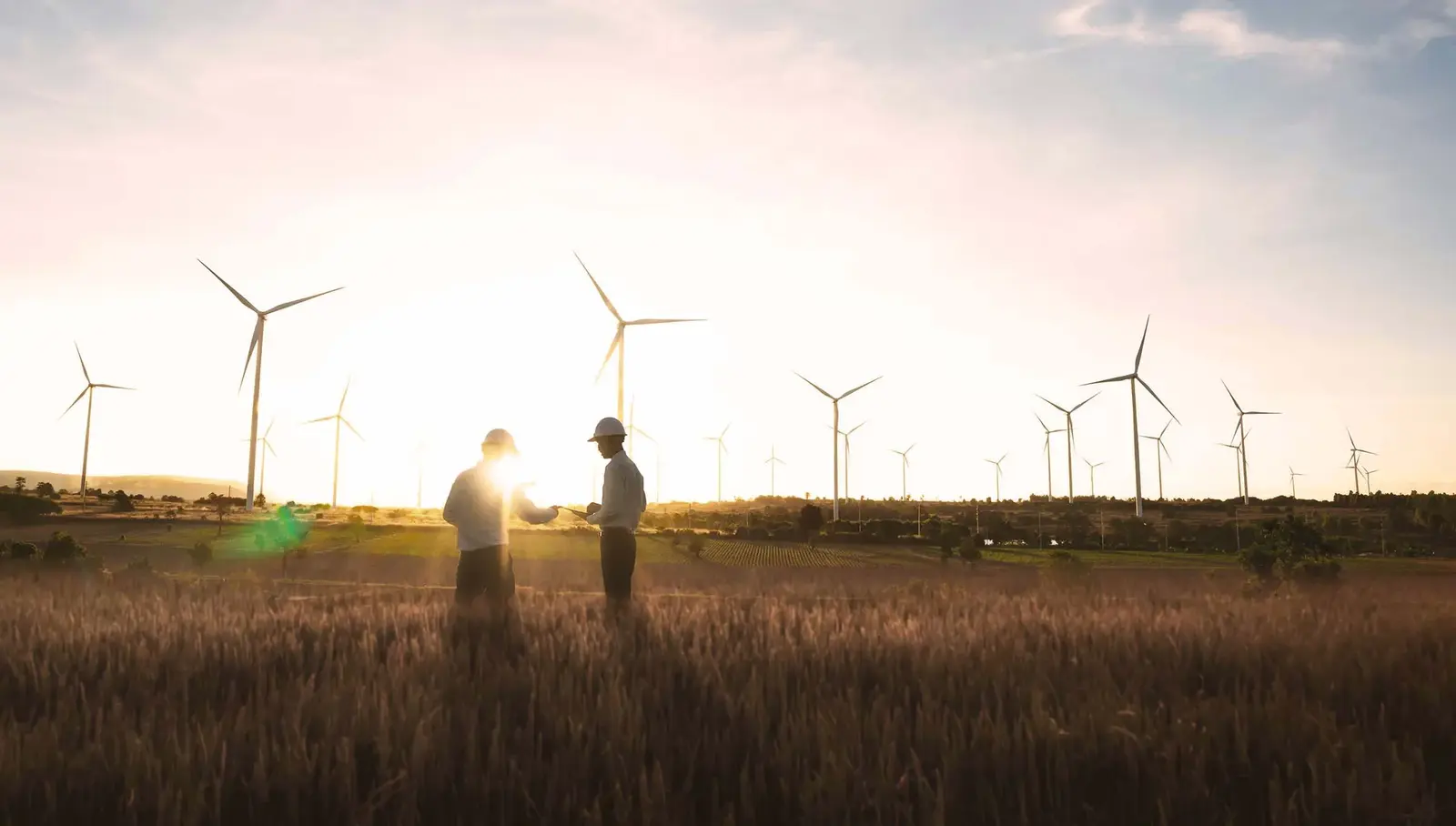 Zwei Arbeiter stehen in der Abendsonne auf einem großflächigen Feld, während ein naheliegender Windpark nachhaltigen Strom produziert. 